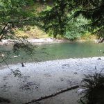 Tree-lined river and gravel shore